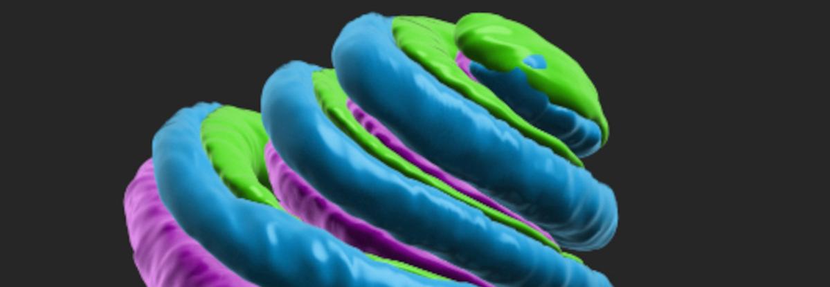 Volumetric measurements of the porcine inner ear